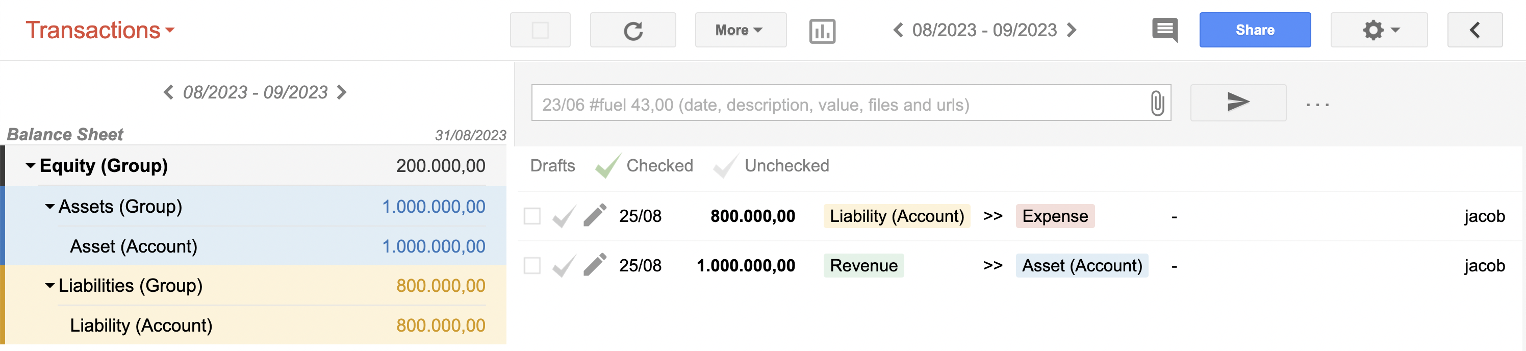 Asset and Liability accounts grouped together showing the Equity position